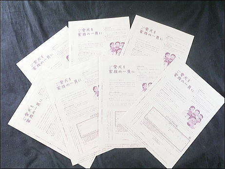 CIMG0432.jpg